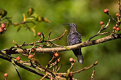 击败一众虚幻5游戏 《夺宝奇兵》获年度画质最佳